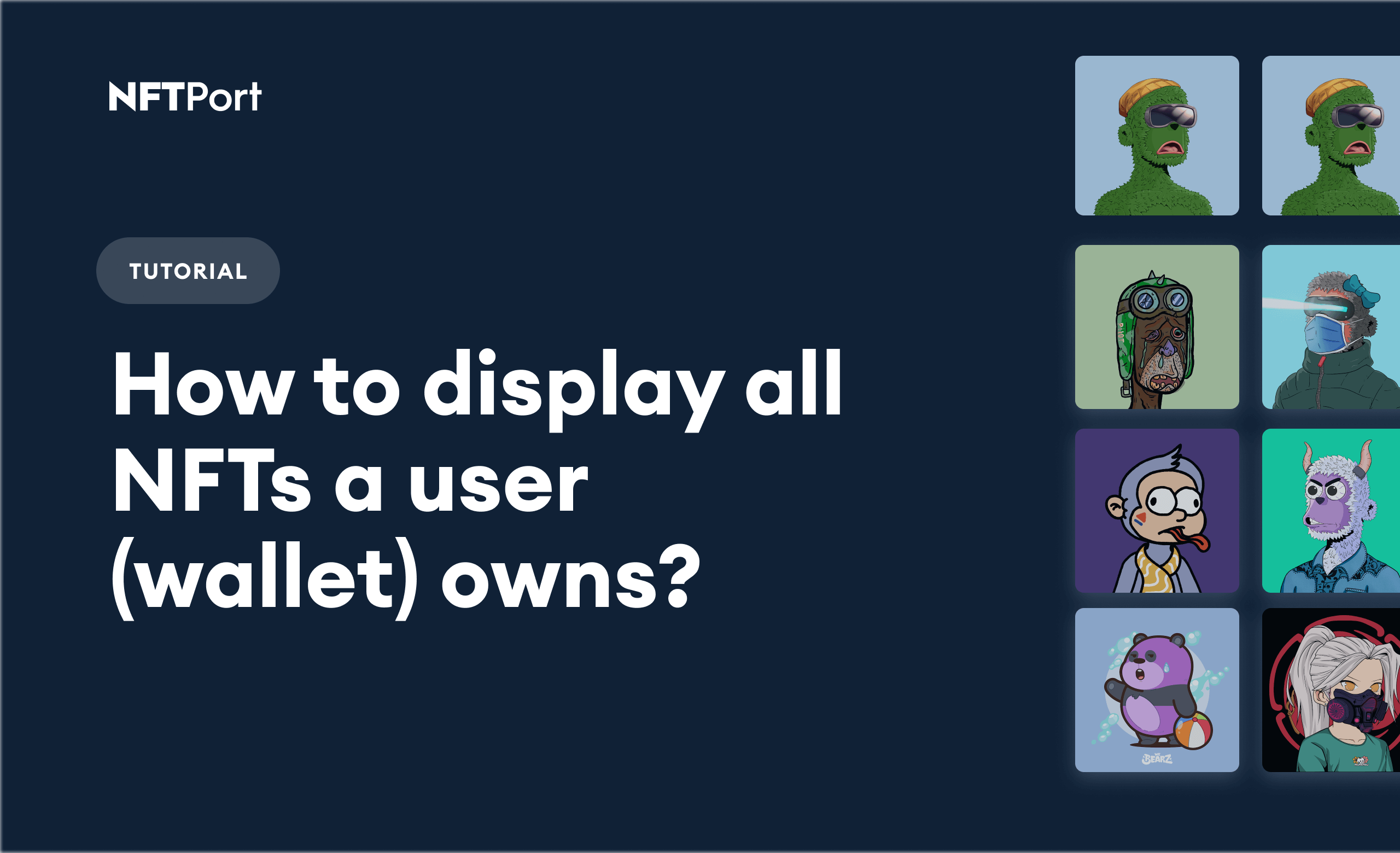 How to display all NFTs a user (wallet) owns? NFTPort Blog